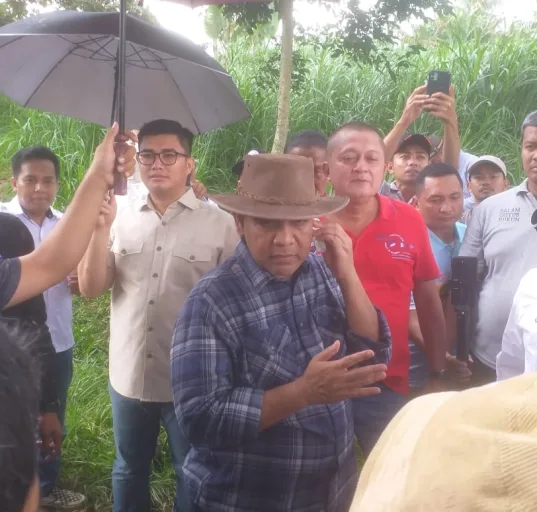 Ketua MPR RI Sebut Ketersediaan Susu Belum Cukup